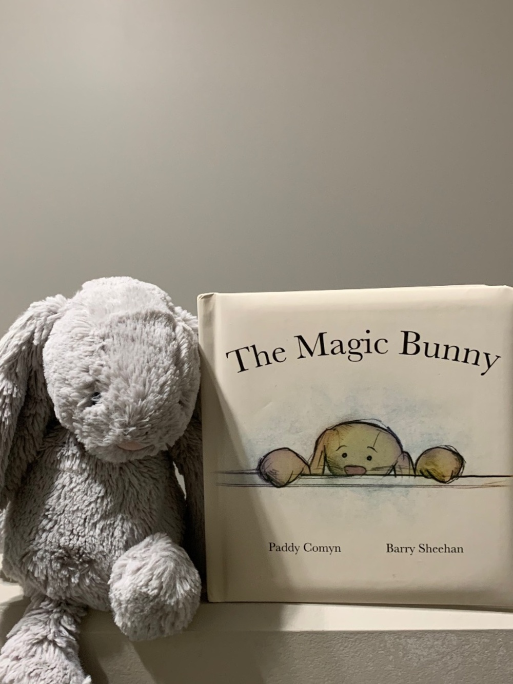 Bunny Jelly Cat and Book